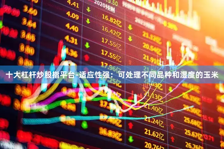十大杠杆炒股指平台-适应性强：可处理不同品种和湿度的玉米
