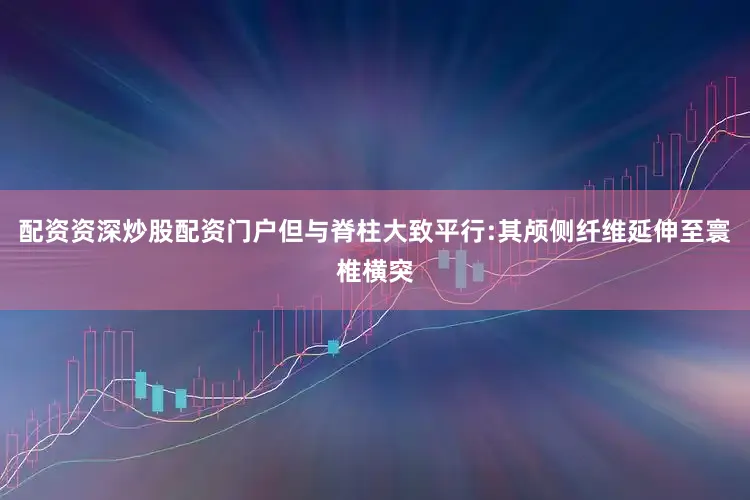 配资资深炒股配资门户但与脊柱大致平行:其颅侧纤维延伸至寰椎横突