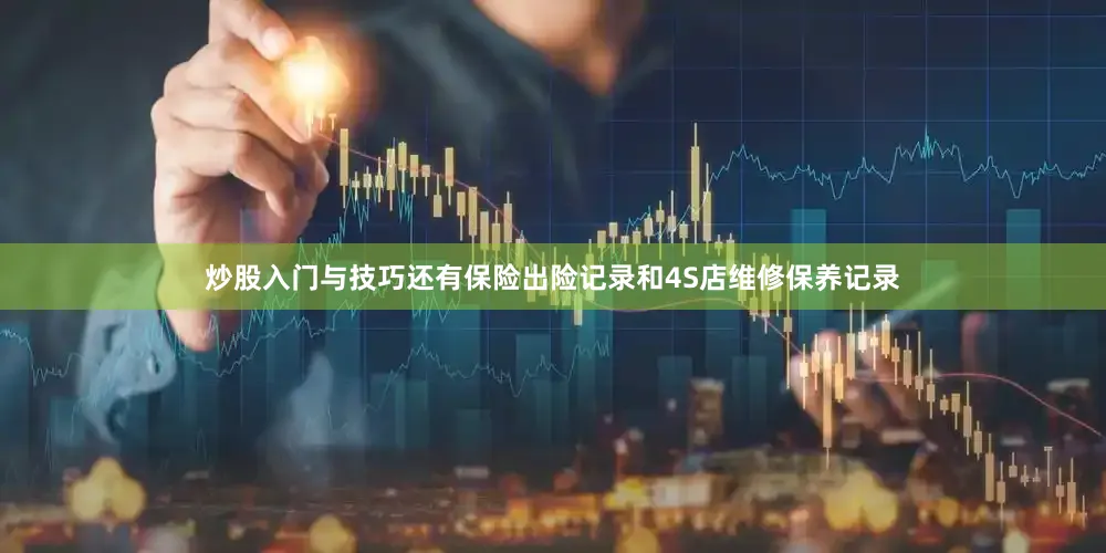 炒股入门与技巧还有保险出险记录和4S店维修保养记录